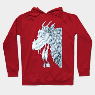 The angry dragon Hoodie